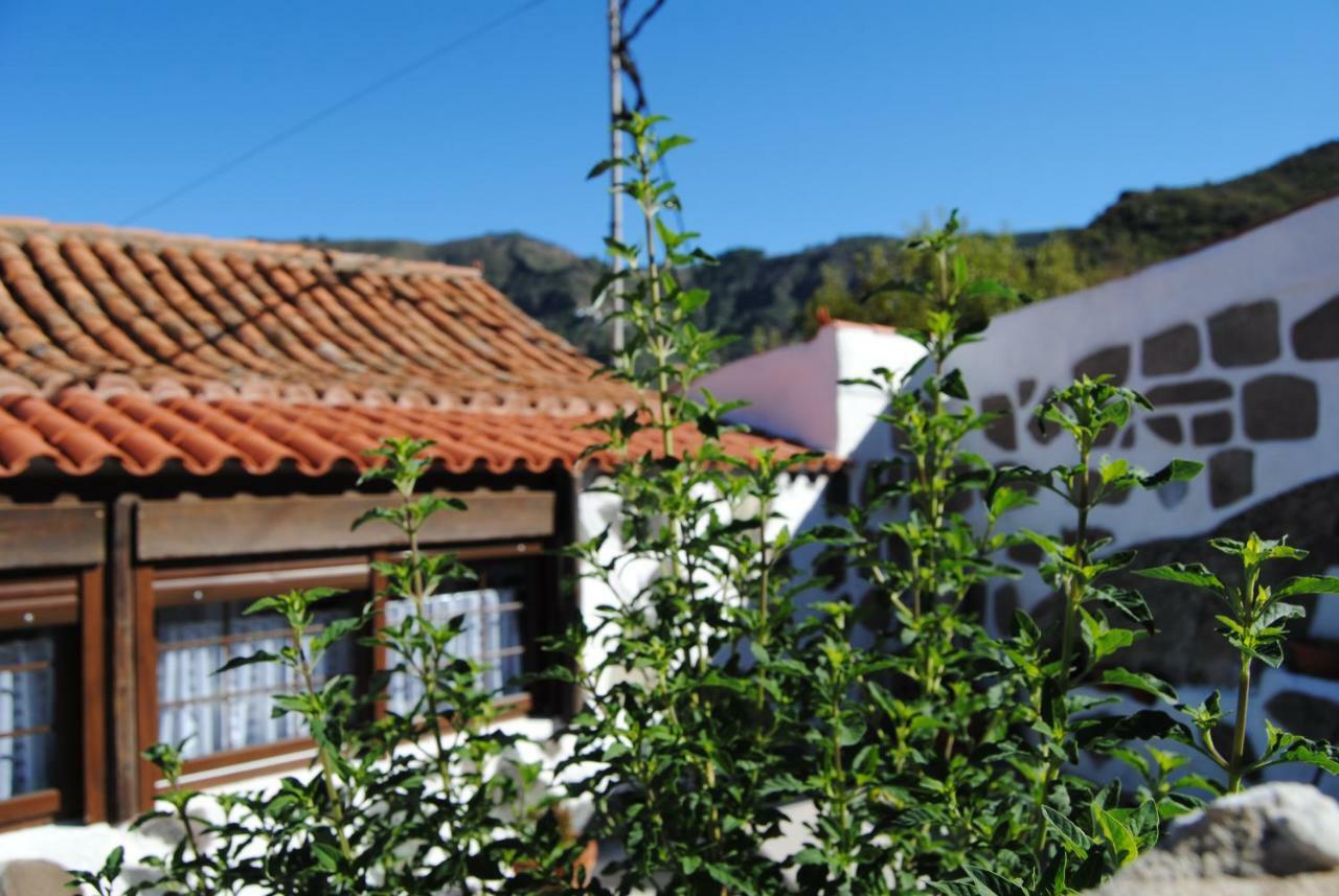 Villa Ilusiones à Tejeda  Extérieur photo